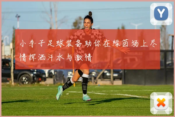 小李子足球装备助你在绿茵场上尽情挥洒汗水与激情