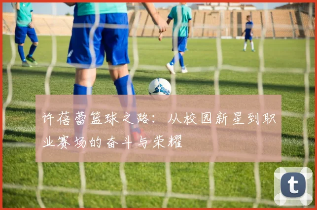 许蓓蕾篮球之路：从校园新星到职业赛场的奋斗与荣耀